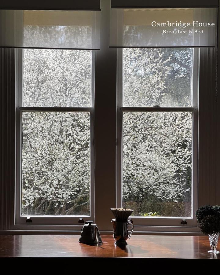 Bed and Breakfast Cambridge House Breakfast & Bed Geeveston Экстерьер фото