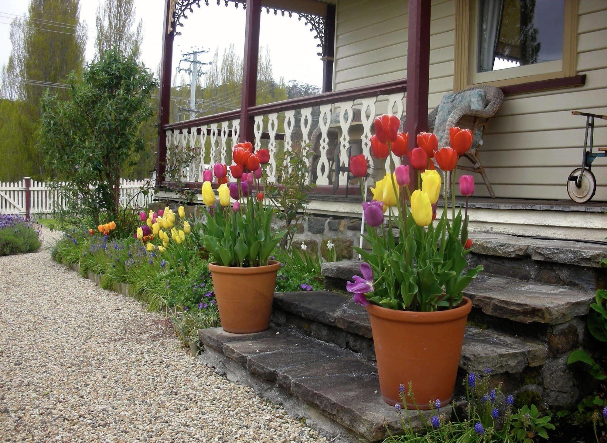 Bed and Breakfast Cambridge House Breakfast & Bed Geeveston Экстерьер фото